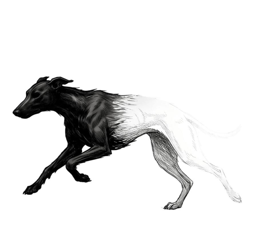 Erasure Hound